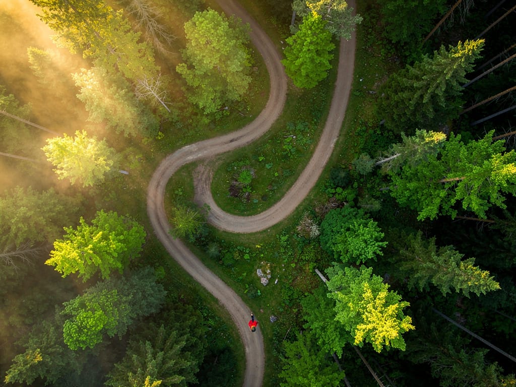 Aerial view of a person walking on a forest path