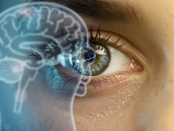 What Your Eyes Reveal About Your Brain's Age