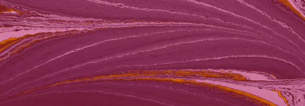 OptimizelyがOpticon Onlineでデジタルエクスペリエンスに関する洞察を発表