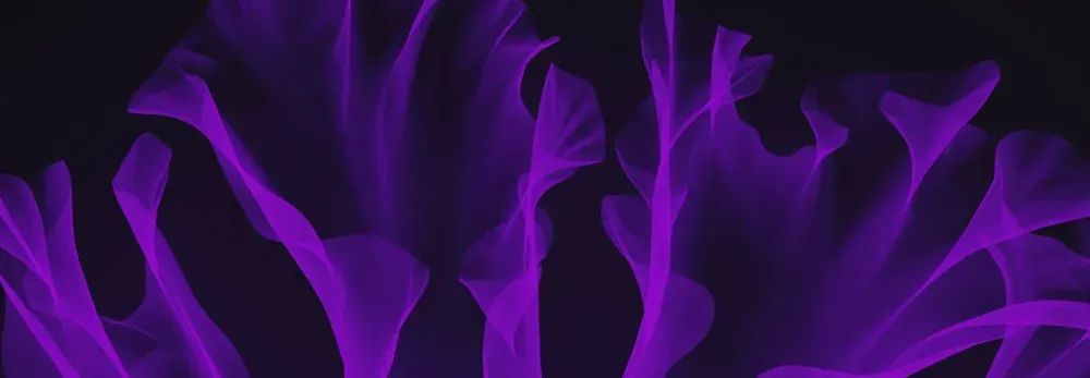 ウェビナーの発表：Sumo Logicの洞察でセキュリティー防御を強化する