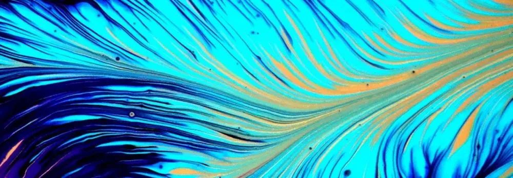 NinjaOne（ニンジャワン）の3名が権威ある2025年CRN Women of the Channelリストに選出