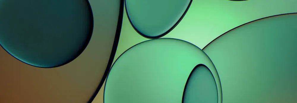 NinjaOne（ニンジャワン）ITAMウェビナー：IT資産の「真実」を可視化し、管理の混乱を解消