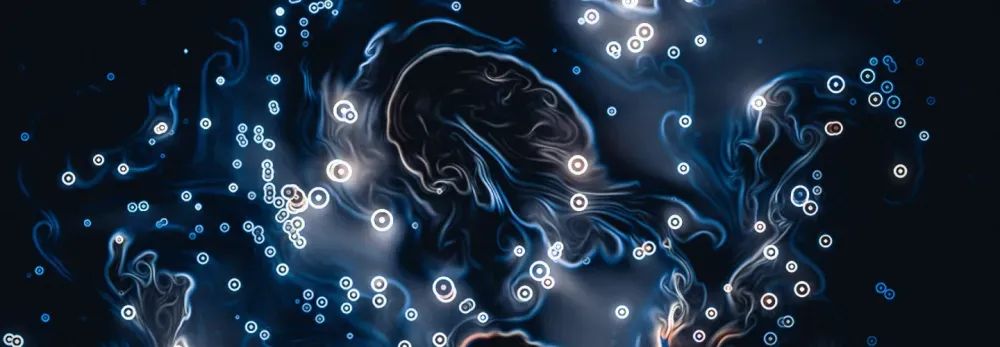 1Password（ワンパスワード）が8.11.6にアップデート