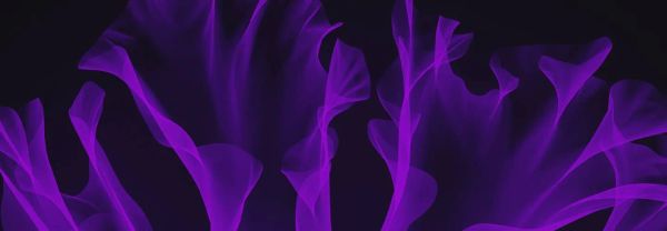 OptimizelyがIDC MarketScapeのB2Bデジタルコマース部門でリーダーに選ばれる