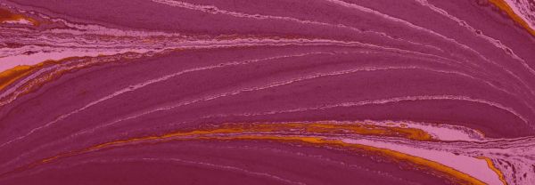 OptimizelyがOpticon Onlineでデジタルエクスペリエンスに関する洞察を発表