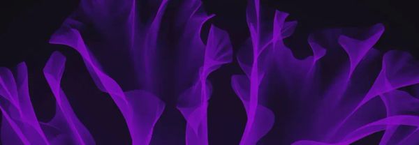 JFrogウェビナーでCoder統合による安全なクラウド開発を探求