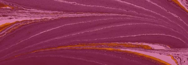 CloudBeesの調査：プラットフォームエンジニアリングで開発者の生産性を向上