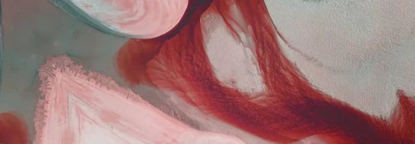 Sumo Logic（スモーロジック）がログ記録機能を強化