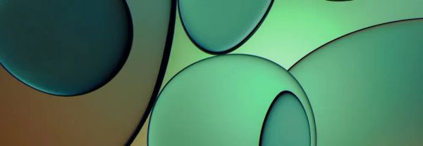 NinjaOne（ニンジャワン）ITAMウェビナー：IT資産の「真実」を可視化し、管理の混乱を解消