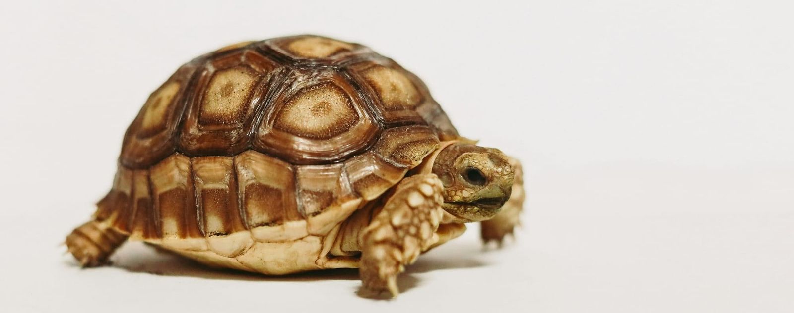 Canada’s Cybersecurity Deficit: Time to Catch Up or Fall Behind