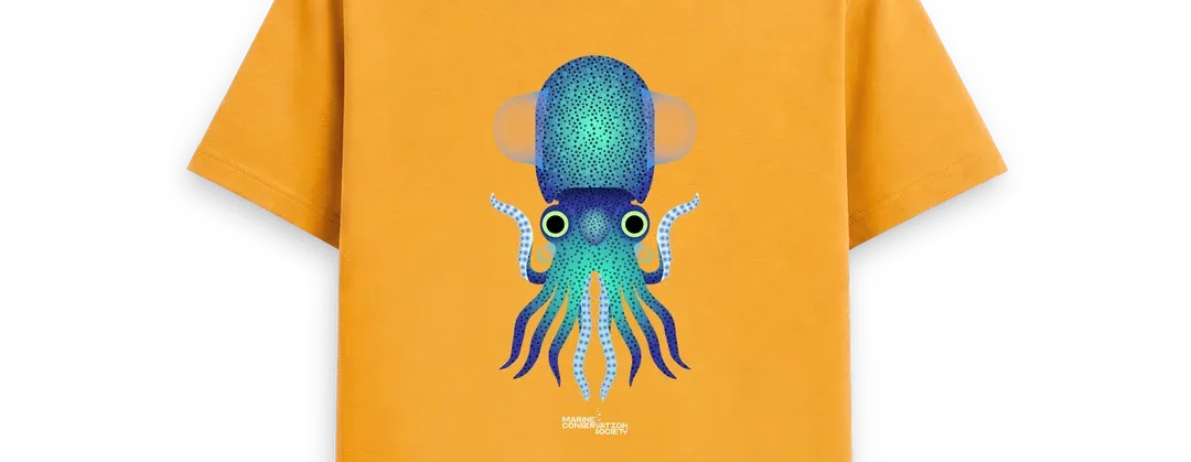 Save The Seas