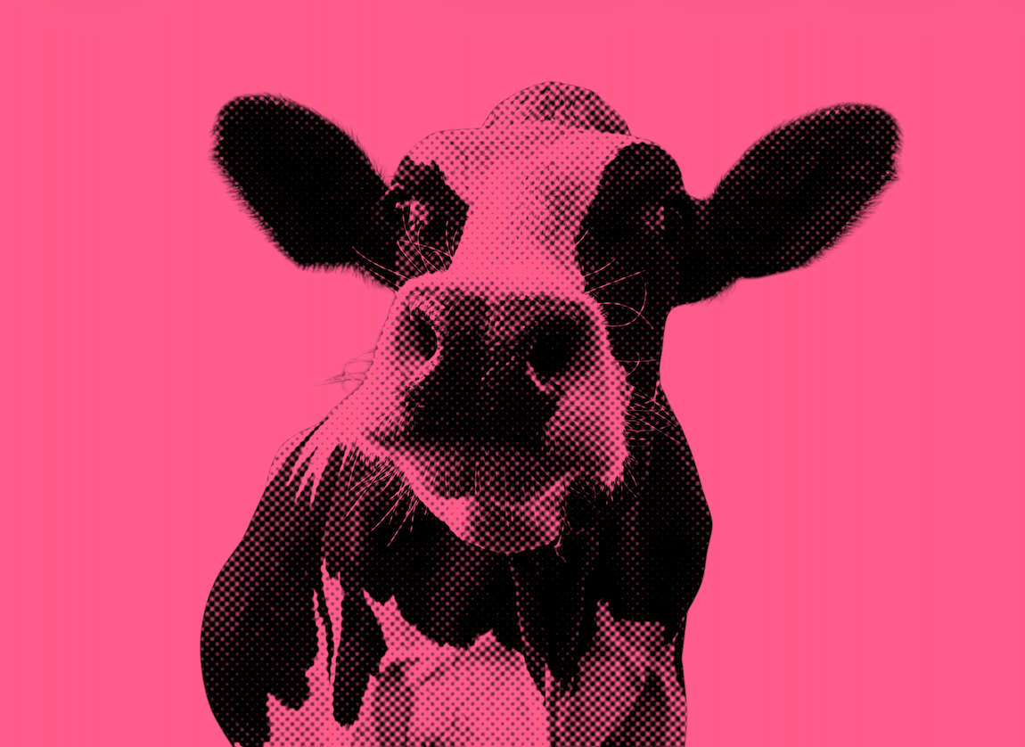 Leak: EU looks to change how livestock climate emissions are measured