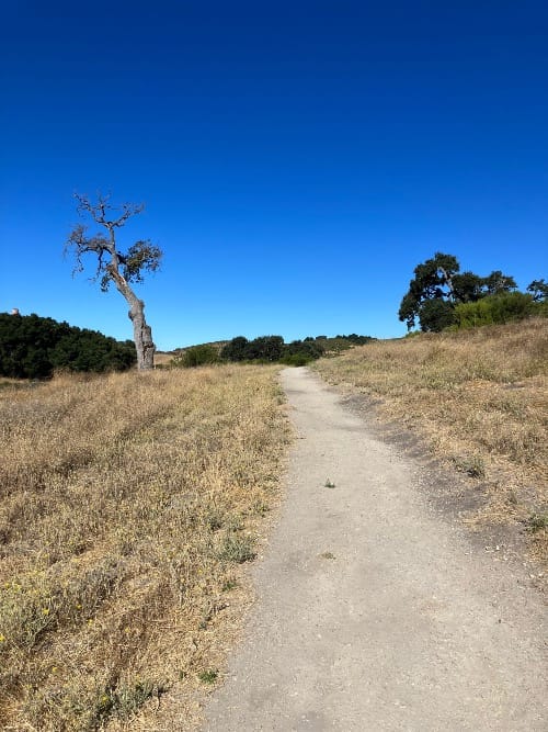 A trail weaves into the distance framed by yellow grass and oak trees on the horizon.