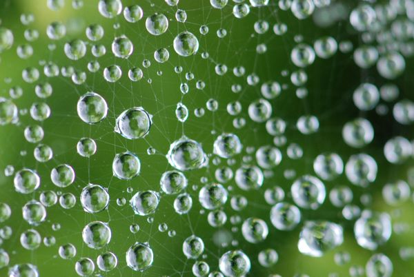 Blockchain Byte - Week 7 :  Decentralization & Web 3.0