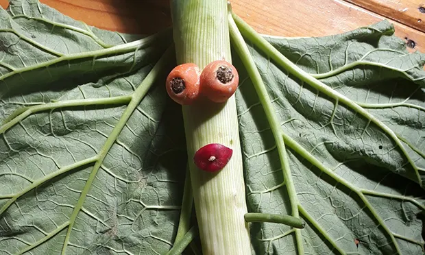 The Citizen Gardener: ‘Even looking at a picture of a river or a wood can improve your mood’