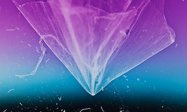 Anne Hardy: Rising Heat, Maureen Paley: ‘A piece of waste becomes a diaphanous pink ghost’