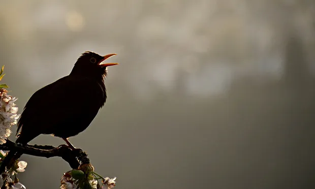 Poetry: The small things by Tamara von Werthern