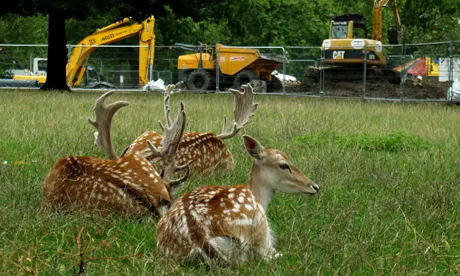 Clissold Park: time to close the ‘zoo’