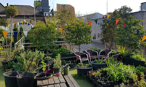 Core Arts launches online lessons for budding gardeners as skeleton staff maintains rooftop haven
