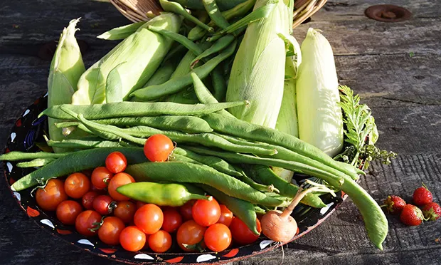 Residents slam council plans to turn ‘thriving’ community garden into housing