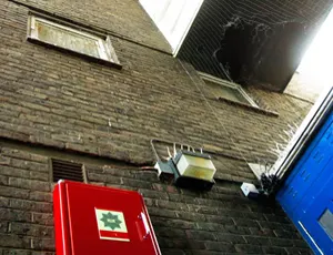 Guerrilla Girl power! Feminist 'masked avengers' come to East London to take on art world