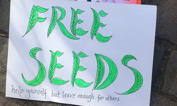 Coronavirus: Citizen Gardener sets up seed giveaway for people who want to grow at home