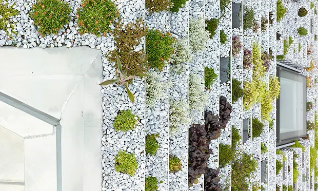 The Garden House's stepped roof garden