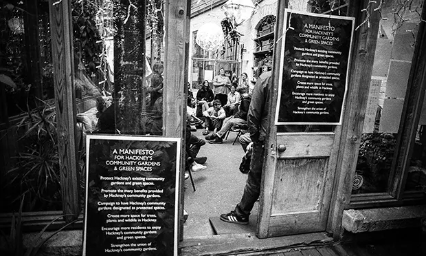 The Citizen Gardener: ‘I’m steering clear of garden centre plants’