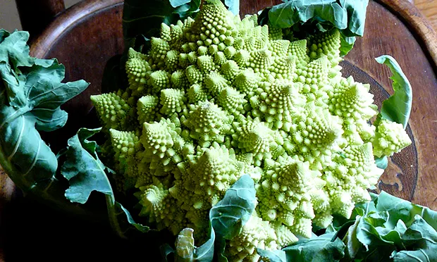 Broc and roll