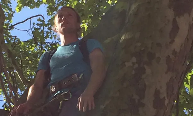 Happy Man Tree protesters raise alarm over ‘democratic deficit’