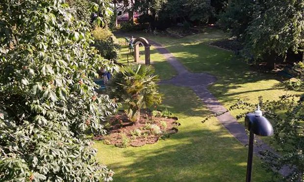 Hoxton charity to plant orchard of fruit trees for community’s most in need