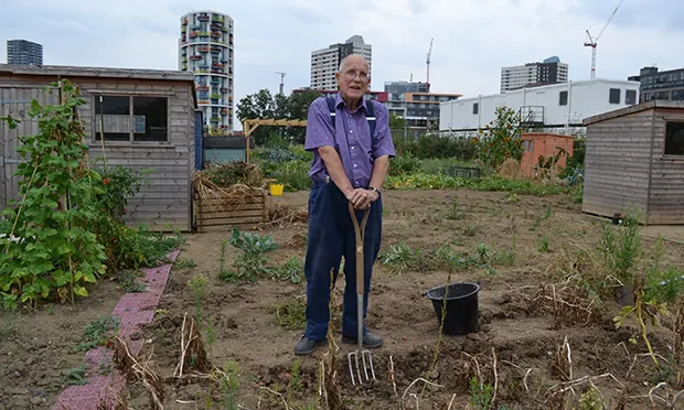 Allotment tenants evicted from Olympic Park reap harvest in new plots