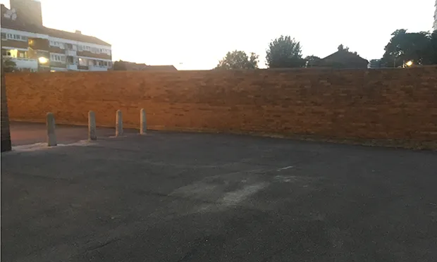 The Citizen Gardener:  ‘Turn dead, grey space into stepping stones for insects’