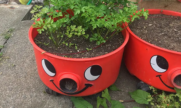 The Citizen Gardener:  ‘In nature, plants look after themselves, but people can forget, go away, or just give up’