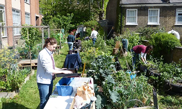 The Citizen Gardener: ‘It’s been a joy to see so many people benefit’