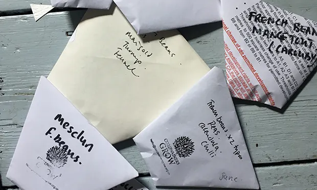 The Citizen Gardener: ‘Seeds are now as elusive as Glasto tickets’