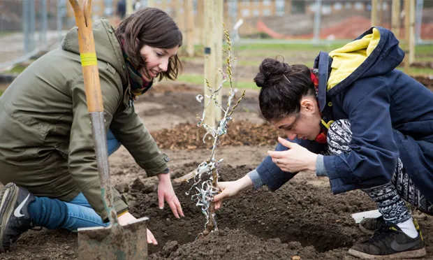 Fruit tree planters plan to transform Mabley Green into ‘edible park’