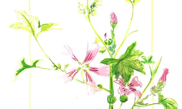 The Citizen Gardener: ‘Even if pesticides don’t kill a bee, they impede its ability to navigate’