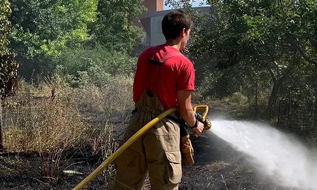 London Fire Brigade makes BBQ plea ahead of weekend of hot weather