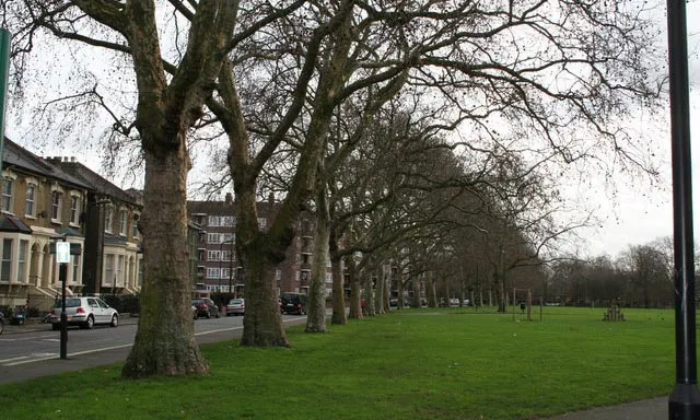 Hackney in UK’s bottom five for pollution purged by trees