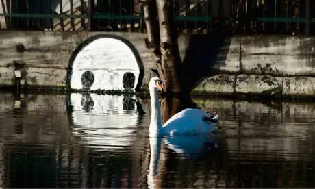 River Lea monster by Hackney artist Stik