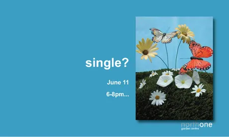 Single Stems
