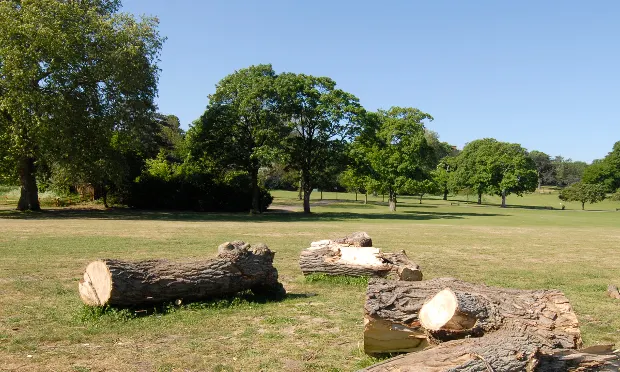 Fears of ‘privatisation’ of Springfield Park under council’s restoration plans