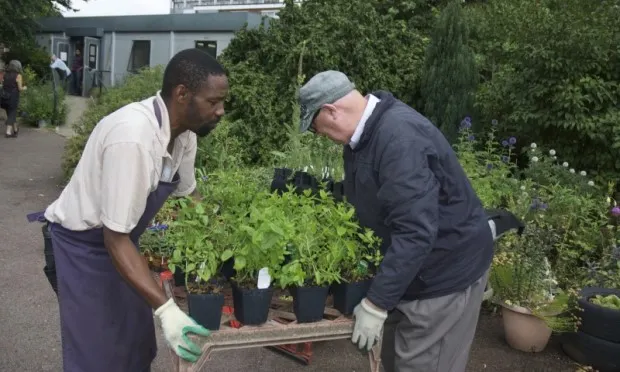Community garden looking for trainees seeking to improve their mental health