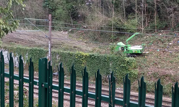 Nature volunteers ‘angry and distressed’ after Network Rail cuts down stretch of trees in Stamford Hill