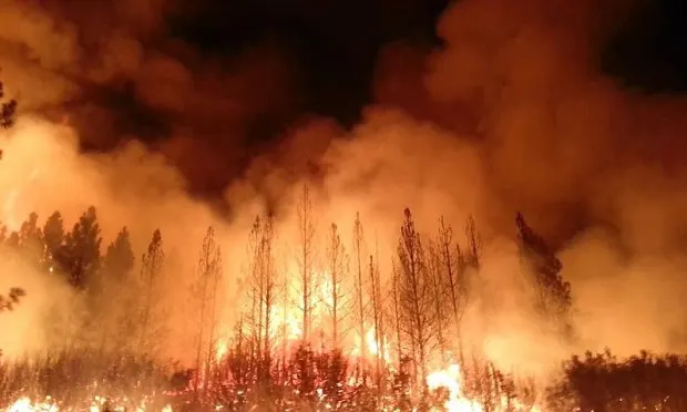 Mayor declares ‘climate emergency’ as Tory councillor repeats denial of manmade global warming