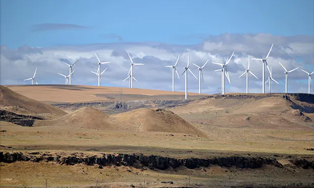 Town Hall ‘highly commended’ for commitment to 100 per cent renewable electricity by 2020