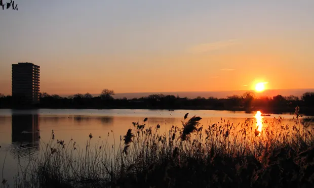 woodberry wetlands stoke newington nature reserve