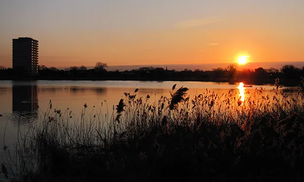Woodberry Wetlands sunset