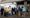 Photograph of Fellows Court residents